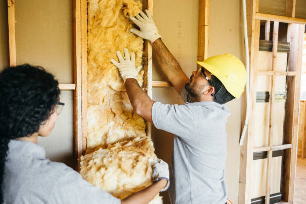 Best Attic Insulation Installation  in Williamsport, IN